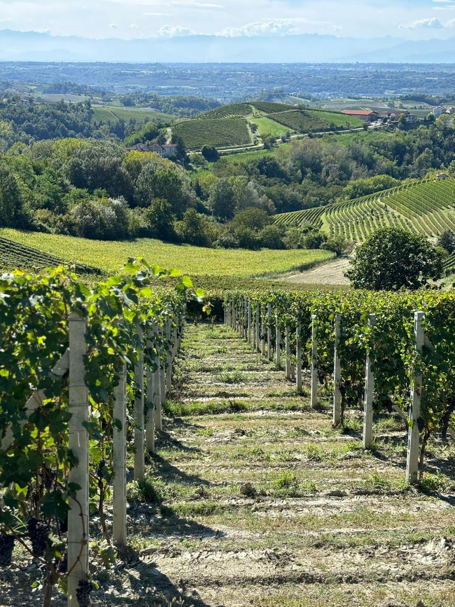 Appartamento "La Poesia Della Terra" Monforte D'Alba Bagian luar foto